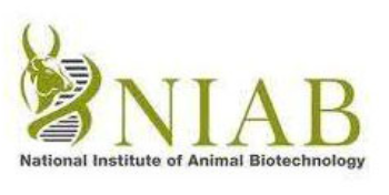NIAB